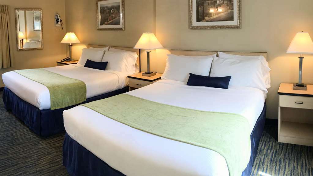 Napa Discovery Inn Bilik gambar